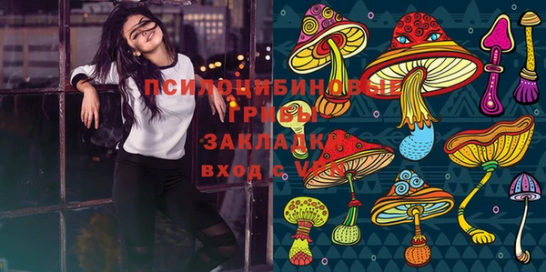 гидропоника Алексеевка