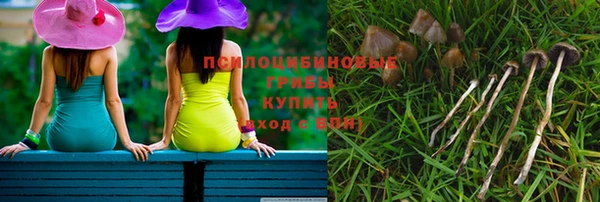 дмт Алексин