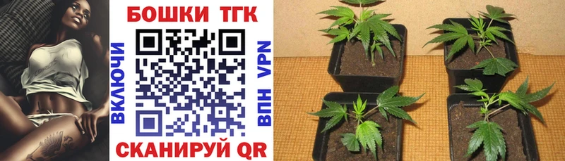 где можно купить наркотик  Олонец  Бошки марихуана планчик 
